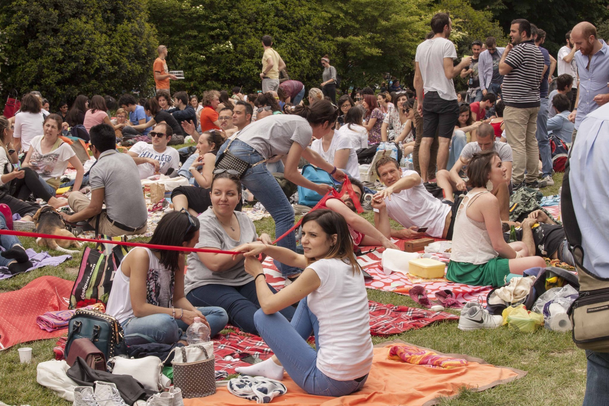 Picnic, per fare crowdfunding