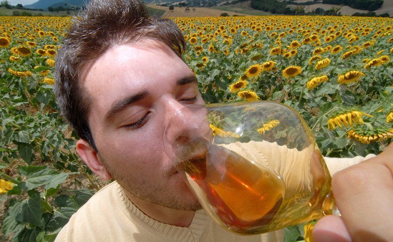 Come invento un miele innovativo: Giorgio per #Italiacheriparte