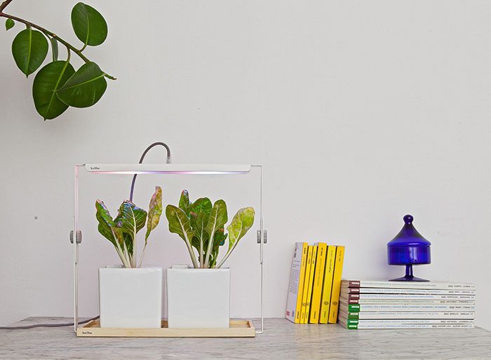 Una lampada per gli orti in casa: l’idea di 4 giovani bolognesi