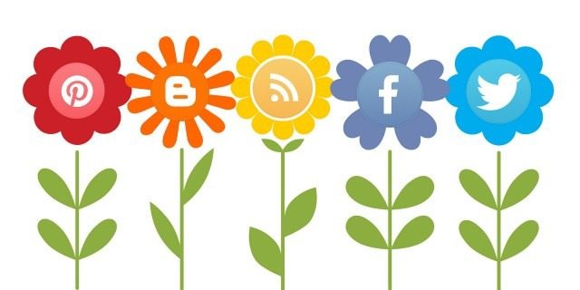 Come costruire la tua audience sui social in 5 step