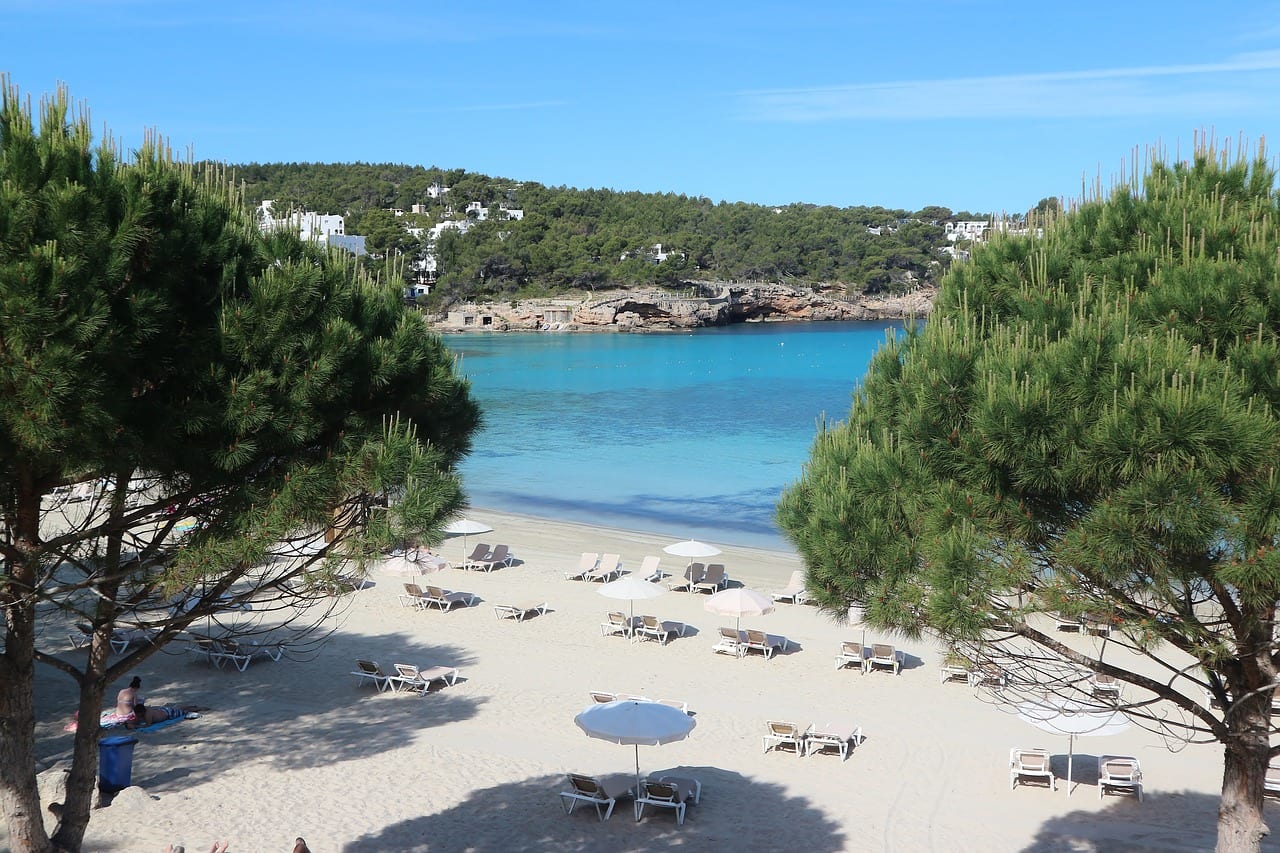 L'azienda regala una vacanza a Ibiza ai dipendenti per i 30 anni di attivà