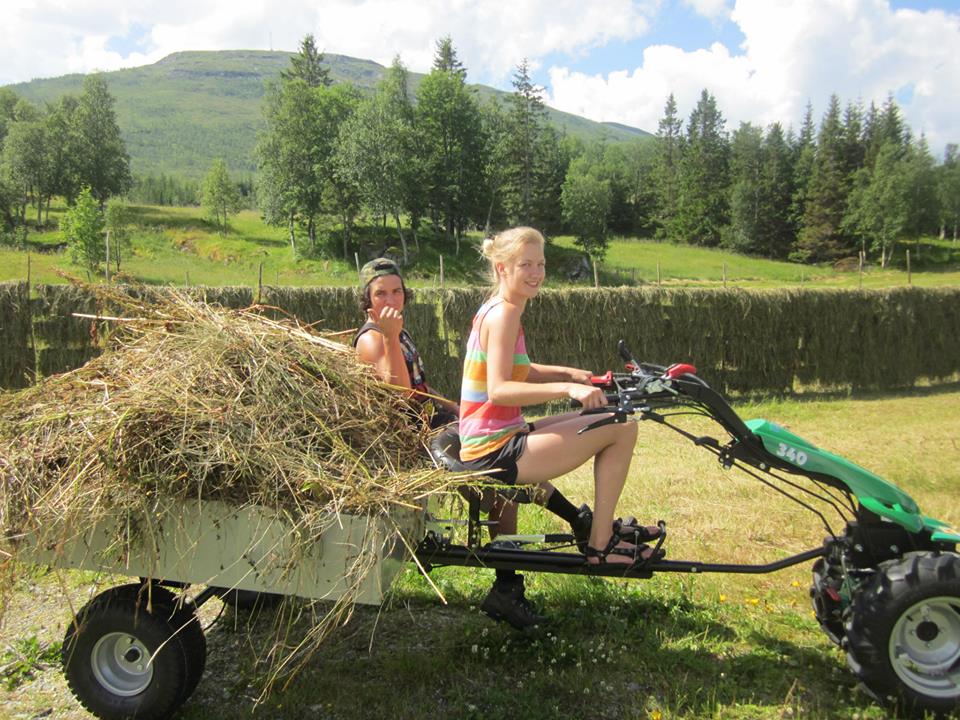 50mila euro per startup nell’agroalimentare
