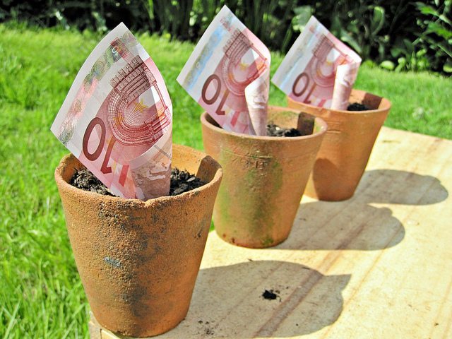 Cerchi soldi per un progetto? Ecco 3 opportunità che non puoi perdere!