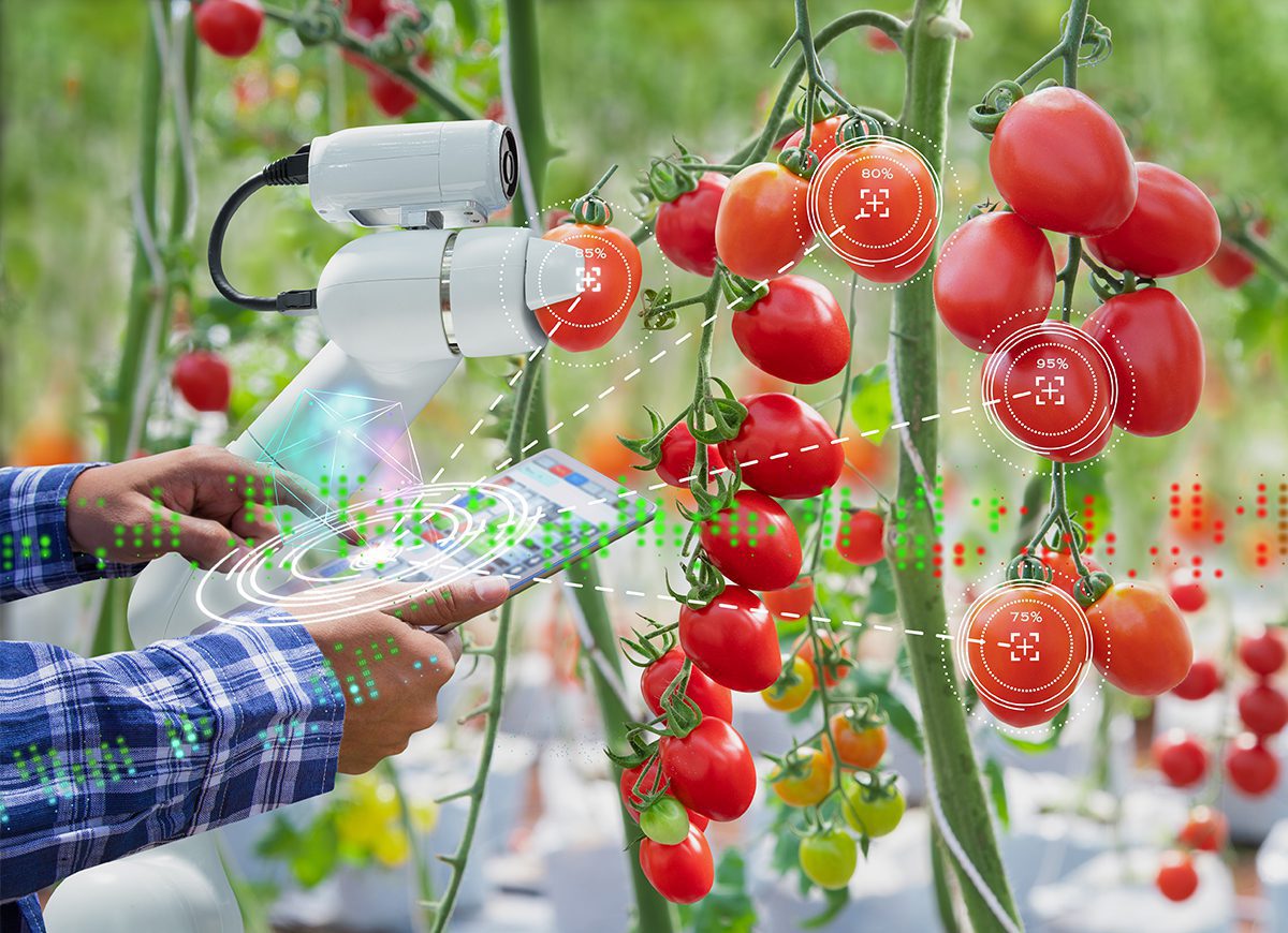 Le startup foodtech che hanno fatto perdere la testa agli investitori