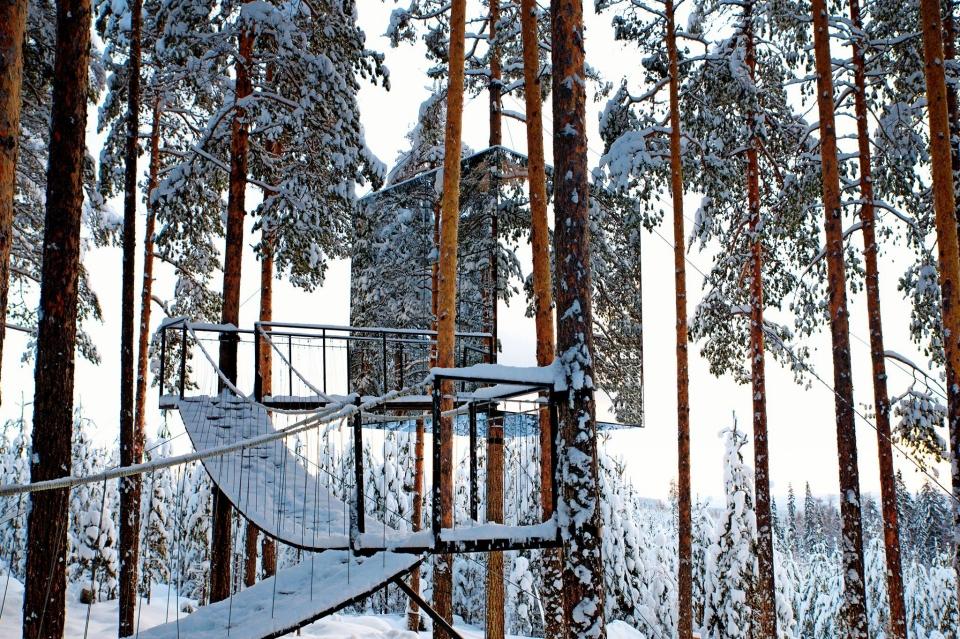 Case sugli alberi: il trend dell’ecoturismo, spesso di lusso, che sta conquistando anche l'Italia.