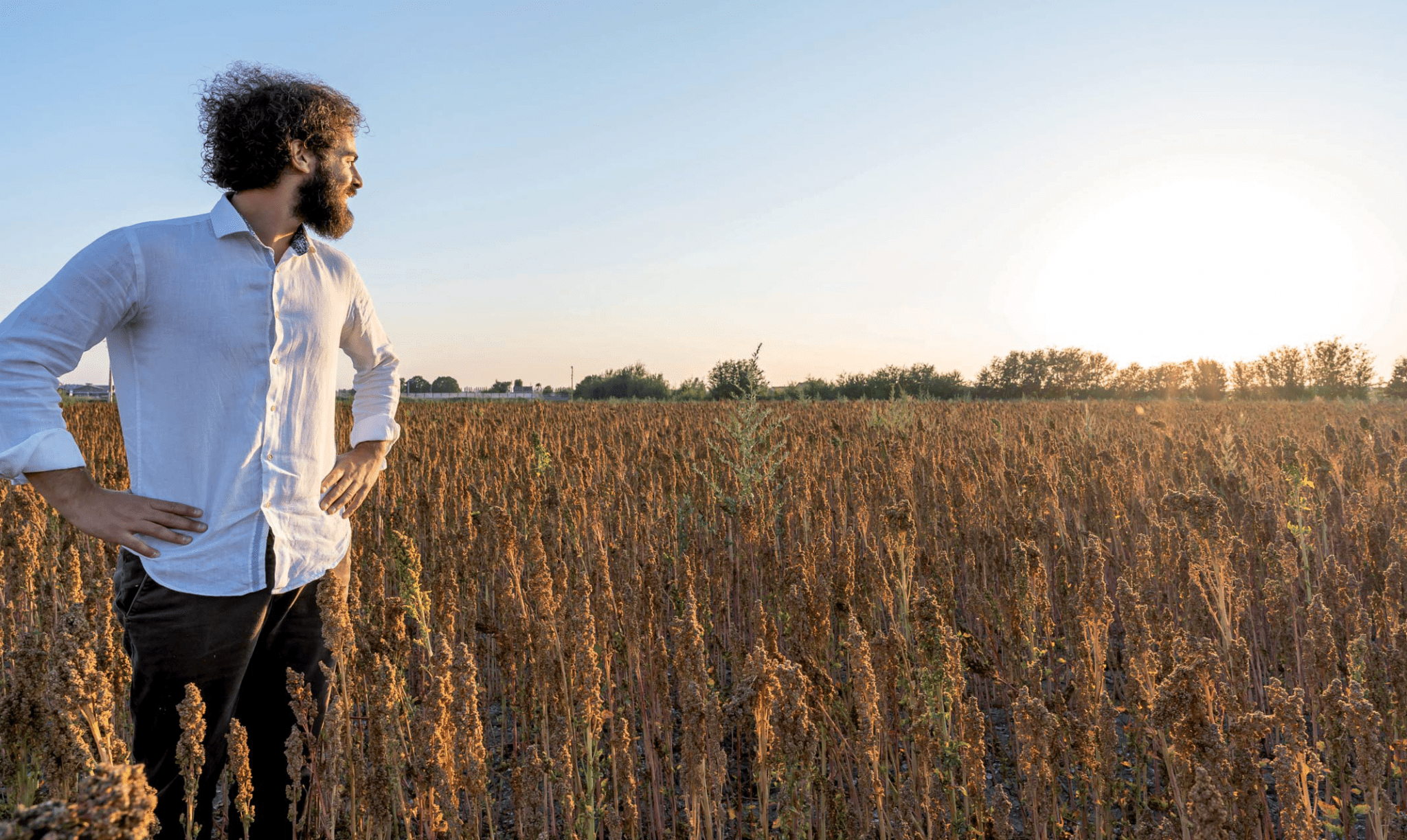 Quinoa: dalle Ande all’Italia (coltivarla si può)