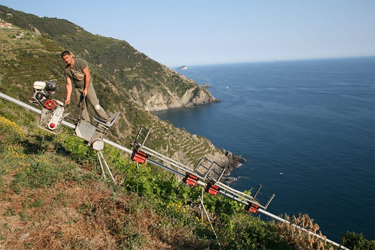 «Ci chiamano eroici perché coltiviamo vigne in zone impervie»