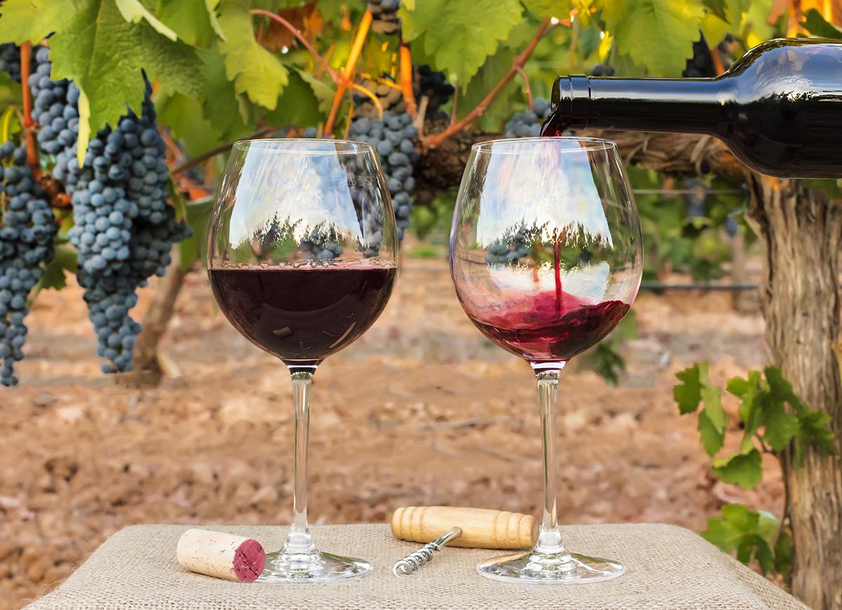 Sicilia, la regione con la più grande produzione di vini bio