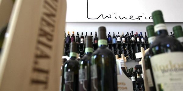 Come aprire una wineria, consigli degli esperti del settore