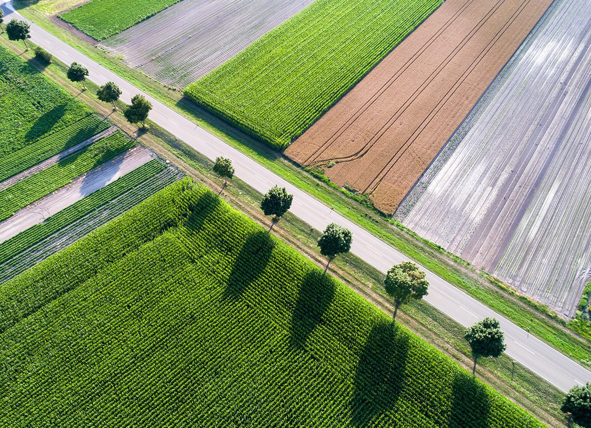 xFarm: 17 milioni per l'agricoltura sostenibile